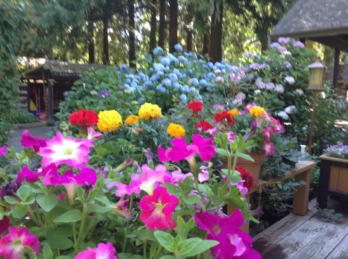 Tea Cozy Bed&Breakfast Qualicum Beach Zewnętrze zdjęcie